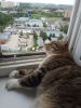 IMG_20170617_142356.thumb.jpg.8b023dcdda55cc27637014aea598e427.jpg