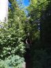 IMG_20170618_121646.thumb.jpg.a7a696a346b4b5d8a0bd3a58411c2456.jpg