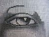 IMG_4037.thumb.JPG.43545aff87ee6a72d42f981163a387cc.JPG