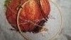 P_20170613_095743.thumb.jpg.0980cc319c443f874d8b5795d515298a.jpg?1497337676318