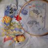 TropicalFish5.thumb.jpg.894e8fb853704ce97c5abe63402730ef.jpg