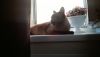 WP_20170617_004.thumb.jpg.99b208e3e27d472677e0e536858030f6.jpg