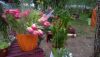 WP_20170625_027.thumb.jpg.2e1f0594d4a45207c9c2a193b18819fa.jpg