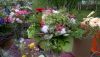 WP_20170625_030.thumb.jpg.b7e3f632cb6bfbeb53ccc7e244f71e65.jpg