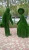 WP_20170625_069.thumb.jpg.f49e2954300154bc6c2620be1b9f427e.jpg