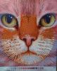 _070514.thumb.jpg.706fb4a36b1ecafae0ab17ccd652ed8d.jpg