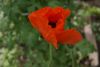 _DSC6789.thumb.JPG.70ef965f4b85685dd4306355fcef1fb5.JPG