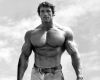 arnold-schwarzenegger-18.thumb.jpg.de222ba47e2d68d8b4b08f5b741dee05.jpg