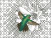 hummingbird.thumb.jpg.522cc0ad22754f79191a7841fe32ab96.jpg