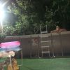 image.thumb.jpeg.d07d740534dc824e919afbb0a4927d1d.jpeg