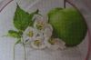photofacefun_com_1497116424.thumb.jpg.d150efbe18de2c5e1c484b400bd30fd3.jpg