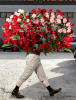 picture_50_10_26_06_17.png