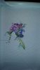 1.thumb.JPG.601aa468300aba611993a95bee826099.JPG