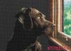 Dimensions 65104, Pondering Pup