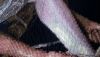 2.thumb.JPG.03cb171fed2f792771ea025b917eeca4.JPG