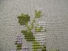 2.thumb.JPG.de18b0a9d19803ed3681cb2d20a65add.JPG