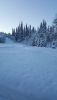 20161228_133712.thumb.jpg.e67c446dfde1bae2892b8325b669d897.jpg