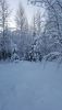 20161228_133847.thumb.jpg.0f38e534180184910a5840e72d379973.jpg
