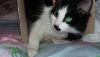 20170211_211148.thumb.jpg.87397e7293b72b24dcc1a32138b5b6d5.jpg