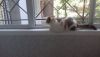 20170605_113924.jpg