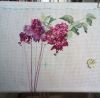 20170628_081458.thumb.jpg.caa845c0a7ba6433c6eef5f6f31d36ce.jpg