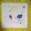 20170701_001254.thumb.jpg.904dcaddfb7170dc9381be5bbac91f84.jpg