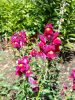 20170708_102436.thumb.jpg.092bdf13ef2e20acc0bb4251e7a411f6.jpg