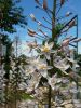 20170708_133531.thumb.jpg.f2775da3ed7898cf65195fcf7c775dc2.jpg