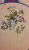 20170708_183717.thumb.jpg.dbf3fa1be04f636df8581b72c2a78f0a.jpg