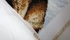 20170712_114557.jpg