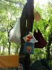 20170712_163146.thumb.jpg.7db37b32e30bc0b6ba14de63f4233eb9.jpg