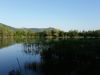 20170713_070836.thumb.jpg.7c5002ff3ead16fabd9f001351fca305.jpg