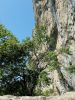 20170713_110413.thumb.jpg.1a9f534d3c54e1594b8b1f14931a6151.jpg