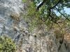 20170713_112709.thumb.jpg.9a8e320a0537b5f4d83b8eeaca031d2a.jpg
