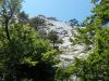 20170713_115410.thumb.jpg.f2aafe15c7d601720c8ec5886960bab6.jpg