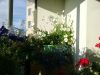 20170714_194242.thumb.jpg.fe33c10fe873b61f567067e3fdfd99ab.jpg