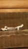 20170715_212955.thumb.jpg.a5800aee85a3ac1afe6c8a53b3d44f20.jpg