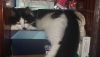 20170716_094211.thumb.jpg.2adbc60f8fbc01282bc0b59c85821cec.jpg