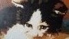 20170717_103529.thumb.jpg.322bea4f0ba54b95d8ed85697d7aad4c.jpg?1500298770950