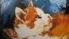 20170717_103538.thumb.jpg.76191612c73583091a979d81a166cf88.jpg?1500298914110