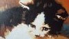 20170717_103704.thumb.jpg.b271c9f2ddf973fec734abf5b743287e.jpg?1500298755277