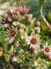 20170718_090643.thumb.jpg.e0bce9872d386fbe5ae1ae3bfbe01f4c.jpg