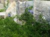 20170718_091112.thumb.jpg.bef9354d825e64e03cf02dd2ac75ba0d.jpg