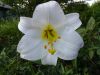 20170718_164744.thumb.jpg.d0fe23019b46cb3cda77a8fff6b3675c.jpg