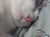 20170720_220342.thumb.jpg.05ef9e52a46bf285da943bd5fdc2838d.jpg