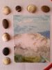 20170723_091021.thumb.jpg.ecf5c42c5219bb31e30c22f7fa55e883.jpg
