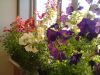20170723_205739.thumb.jpg.e75bf057631ba9730bb69f963ab1fa47.jpg