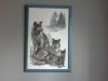 20170726_113113.thumb.jpg.eadd8f19f3000d22a00dfb0d0e570653.jpg