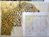 20170731_095422-1.thumb.jpg.970853b6f46c713dfdf1fb1e91523a3c.jpg