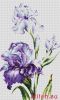 24577.thumb.jpg.ba4effab1110a20c485abf9ebd81dd88.jpg